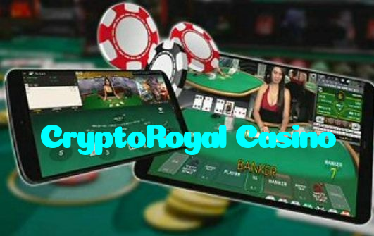 available types of CryptoRoyal Casino bet including pre-match live express and system bets